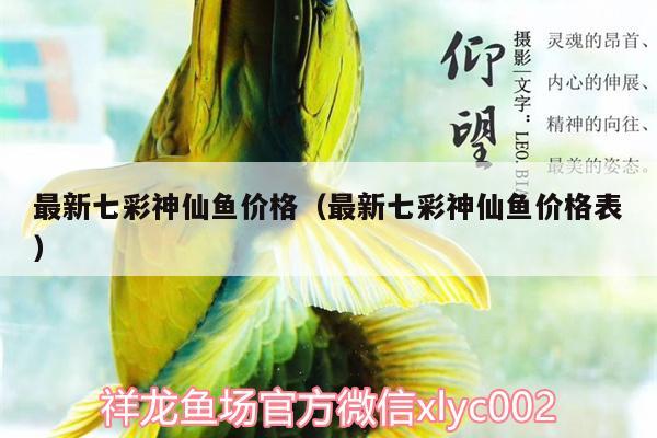 最新七彩神仙鱼价格（最新七彩神仙鱼价格表）