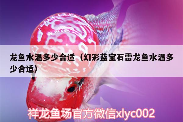 龙鱼水温多少合适（幻彩蓝宝石雷龙鱼水温多少合适）