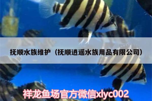 抚顺水族维护（抚顺逍遥水族用品有限公司）