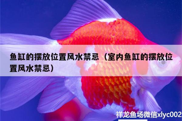 鱼缸的摆放位置风水禁忌（室内鱼缸的摆放位置风水禁忌）