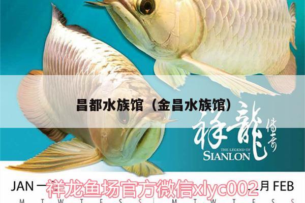 昌都水族馆（金昌水族馆） 虎斑恐龙鱼 第2张