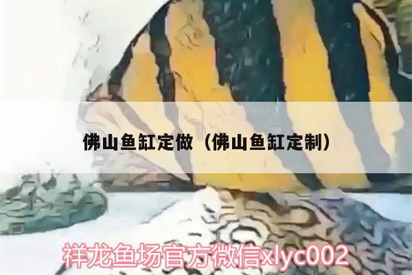 佛山鱼缸定做（佛山鱼缸定制） 南美异形观赏鱼