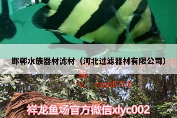 邯郸水族器材滤材（河北过滤器材有限公司）