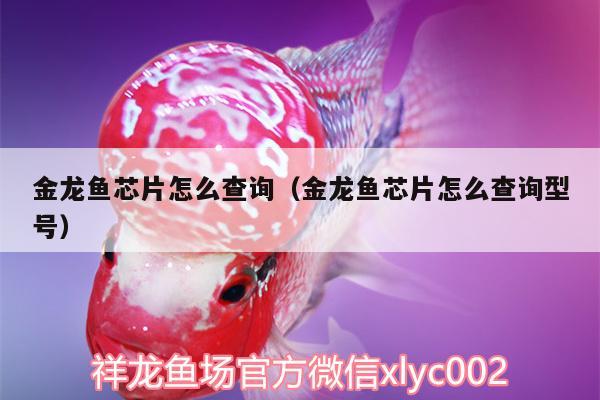 金龙鱼芯片怎么查询（金龙鱼芯片怎么查询型号）