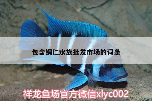 包含铜仁水族批发市场的词条