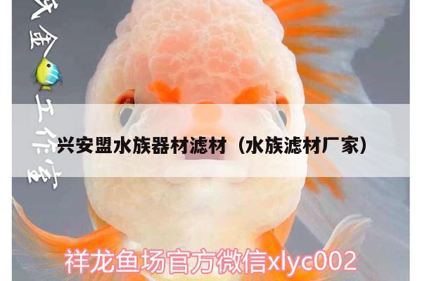 兴安盟水族器材滤材（水族滤材厂家）