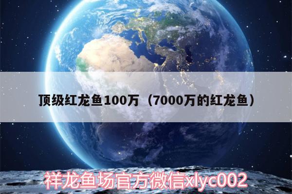 顶级红龙鱼100万（7000万的红龙鱼）