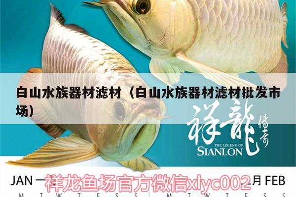 白山水族器材滤材（白山水族器材滤材批发市场） 广州水族器材滤材批发市场