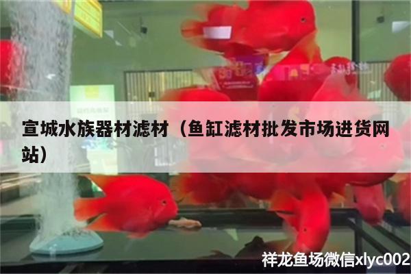 宣城水族器材滤材（鱼缸滤材批发市场进货网站） 龙凤鲤鱼