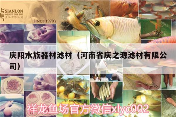 庆阳水族器材滤材（河南省庆之源滤材有限公司） 祥龙超血红龙鱼