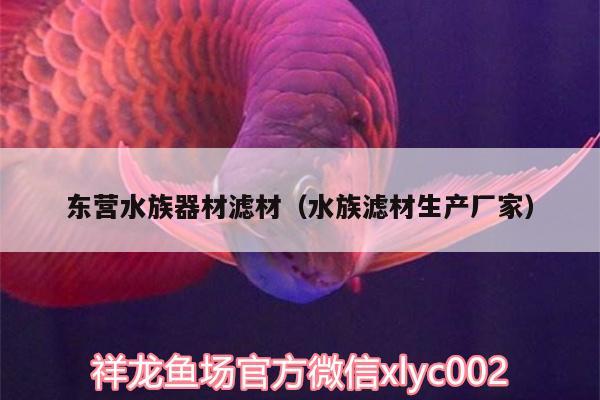 东营水族器材滤材（水族滤材生产厂家） 罗汉鱼