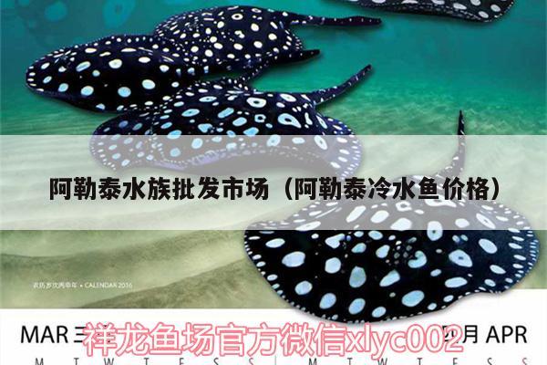 阿勒泰水族批发市场（阿勒泰冷水鱼价格） 观赏鱼水族批发市场