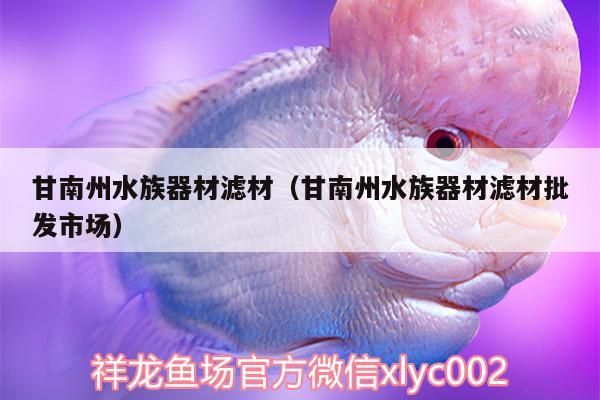 甘南州水族器材滤材（甘南州水族器材滤材批发市场）