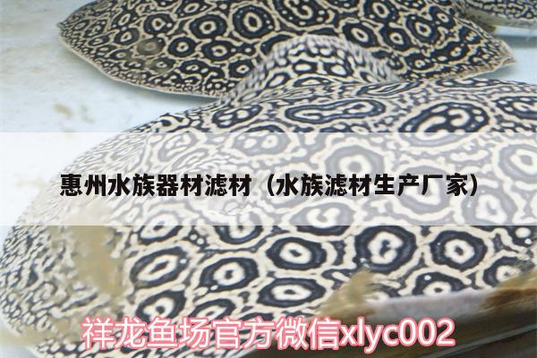 惠州水族器材滤材（水族滤材生产厂家） 帝王血钻鱼