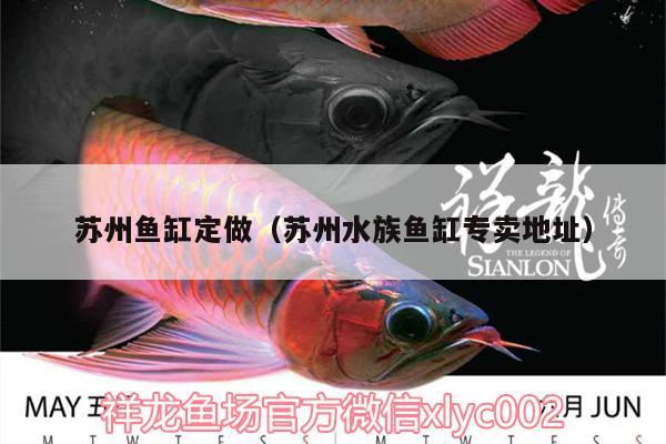 苏州鱼缸定做（苏州水族鱼缸专卖地址） 朱巴利鱼