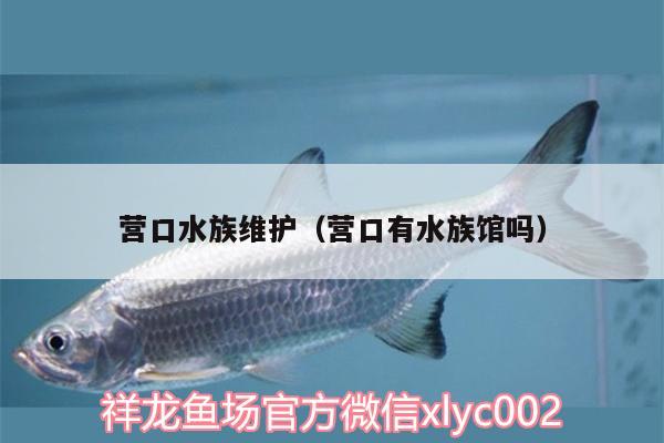 营口水族维护（营口有水族馆吗）