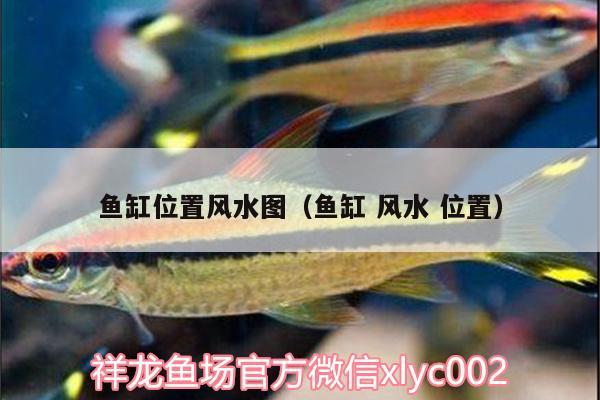 鱼缸位置风水图（鱼缸风水位置） 鱼缸风水