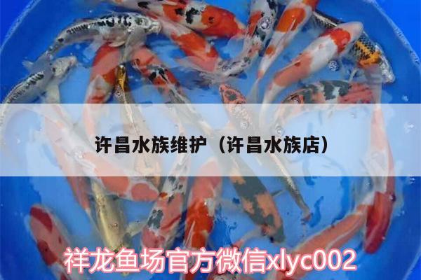 许昌水族维护（许昌水族店）