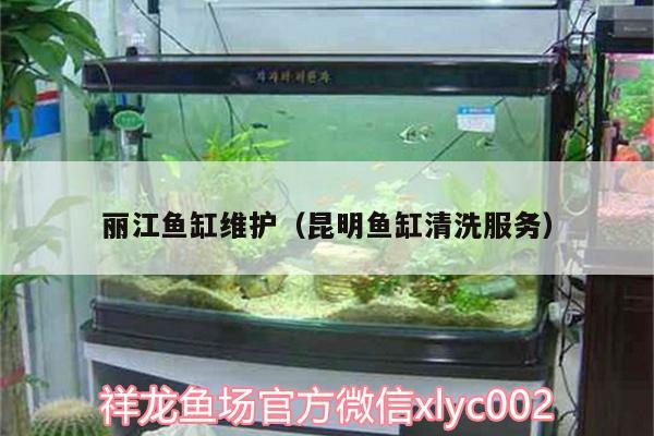 丽江鱼缸维护（昆明鱼缸清洗服务） 图腾金龙鱼