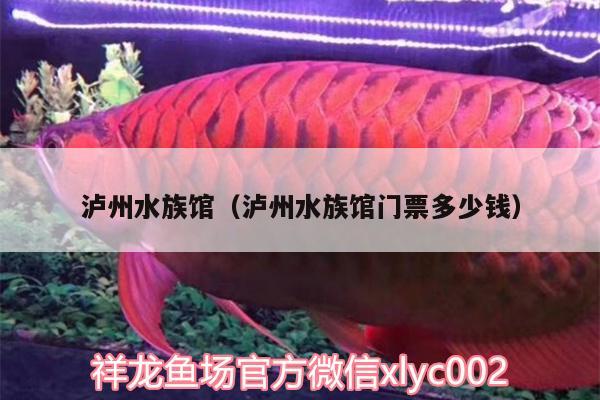 泸州水族馆（泸州水族馆门票多少钱） 哥伦比亚巨暴鱼苗