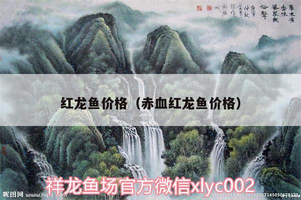 红龙鱼价格（赤血红龙鱼价格） 充氧泵