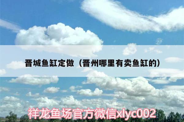 晋城鱼缸定做（晋州哪里有卖鱼缸的） 祥龙超血红龙鱼