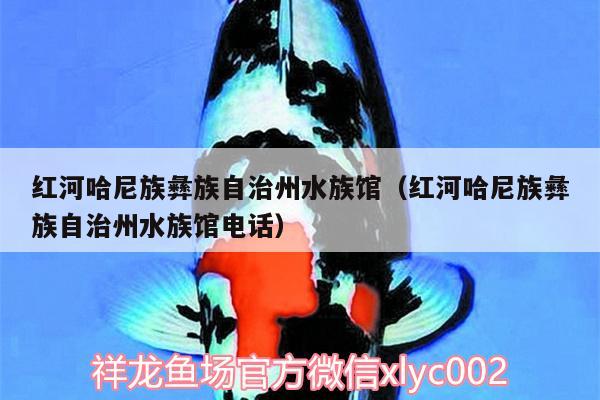 红河哈尼族彝族自治州水族馆（红河哈尼族彝族自治州水族馆电话） 七彩神仙鱼