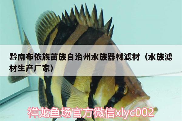 黔南布依族苗族自治州水族器材滤材（水族滤材生产厂家） 定时器/自控系统