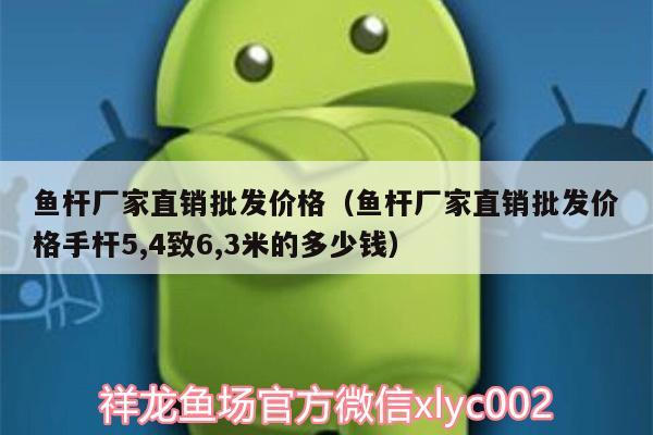 鱼杆厂家直销批发价格（鱼杆厂家直销批发价格手杆5,4致6,3米的多少钱） 水草