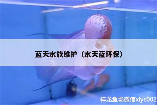 蓝天水族维护（水天蓝环保）