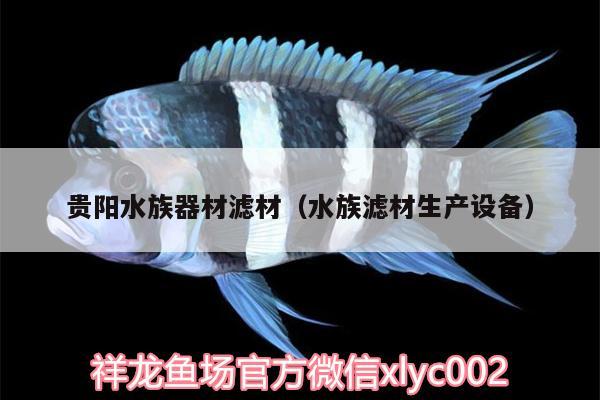 贵阳水族器材滤材（水族滤材生产设备） 肥料