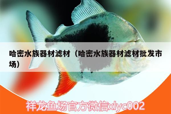 哈密水族器材滤材（哈密水族器材滤材批发市场） 广州水族器材滤材批发市场 第1张