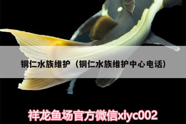 铜仁水族维护（铜仁水族维护中心电话）