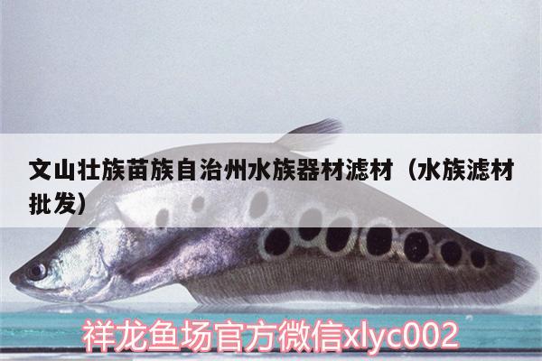 文山壮族苗族自治州水族器材滤材（水族滤材批发） 祥龙蓝珀金龙鱼