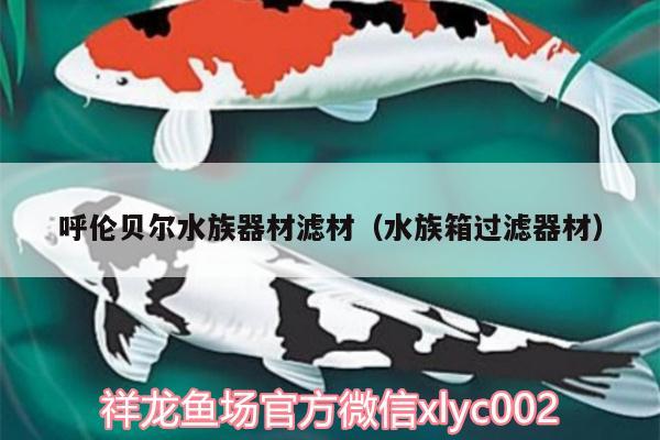 呼伦贝尔水族器材滤材（水族箱过滤器材） 鱼缸/水族箱