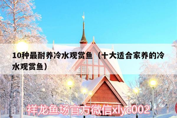 10种最耐养冷水观赏鱼（十大适合家养的冷水观赏鱼） 祥龙金禾金龙鱼