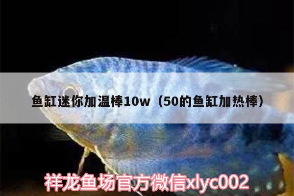 鱼缸迷你加温棒10w（50的鱼缸加热棒）