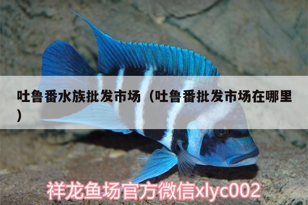 吐鲁番水族批发市场（吐鲁番批发市场在哪里）