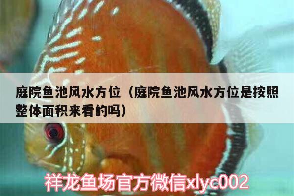 庭院鱼池风水方位（庭院鱼池风水方位是按照整体面积来看的吗） 鱼缸风水