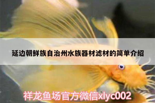 延边朝鲜族自治州水族器材滤材的简单介绍 鱼缸水质稳定剂 第2张