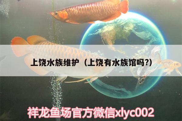 上饶水族维护（上饶有水族馆吗?）