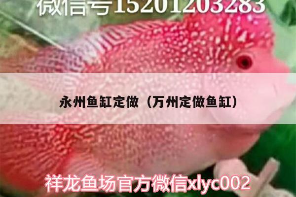 永州鱼缸定做（万州定做鱼缸） 广州龙鱼批发市场