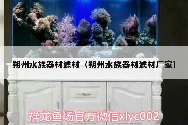 朔州水族器材滤材（朔州水族器材滤材厂家） 祥龙龙鱼专用水族灯