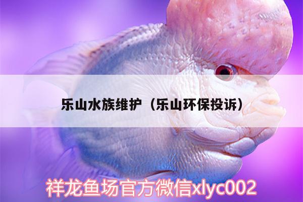 乐山水族维护（乐山环保投诉）