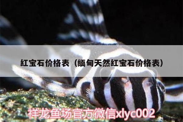 红宝石价格表（缅甸天然红宝石价格表） 大日玉鲭鱼