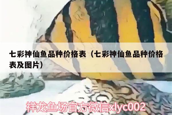 七彩神仙鱼品种价格表（七彩神仙鱼品种价格表及图片）