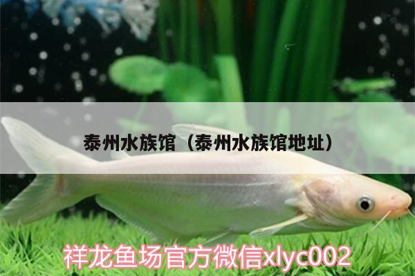 泰州水族馆（泰州水族馆地址） 水温计