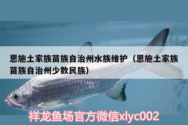 恩施土家族苗族自治州水族维护（恩施土家族苗族自治州少数民族）