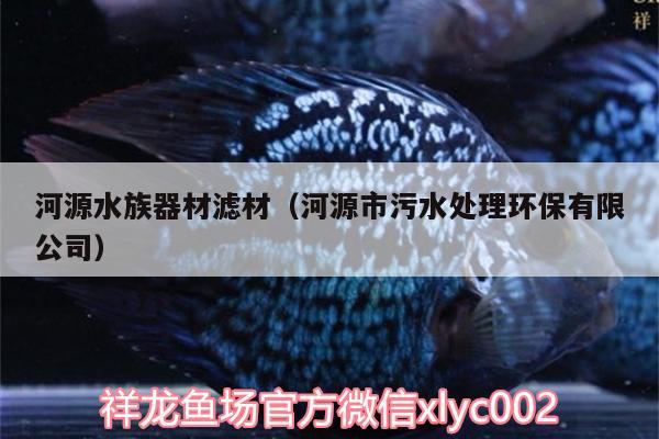 河源水族器材滤材（河源市污水处理环保有限公司） 飞凤鱼苗