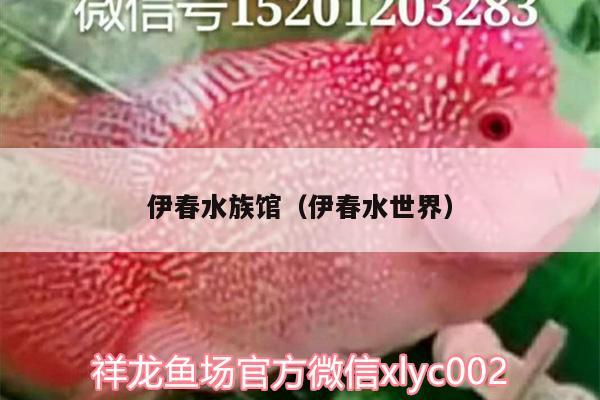 伊春水族馆（伊春水世界）